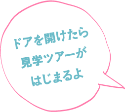 見て、ふれて 楽しみながら 学べるよ