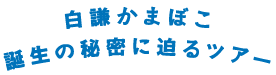 白謙かまぼこ誕生の秘密に迫るツアー